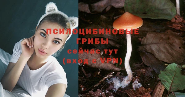 COCAINE Абаза