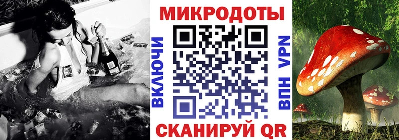 где можно купить наркотик  Черепаново  Галлюциногенные грибы Psilocybe 