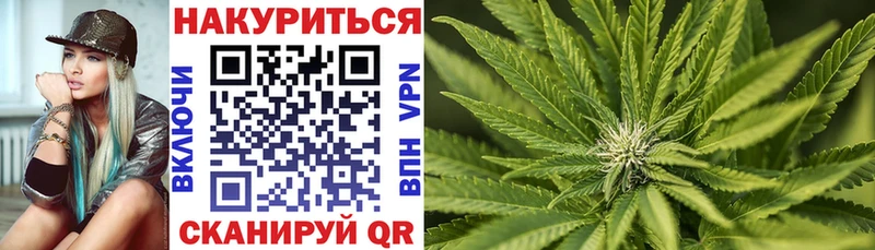 Канабис OG Kush  Черепаново 